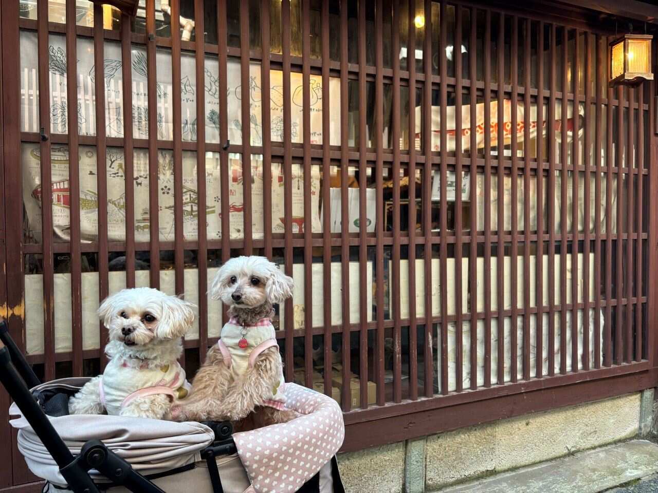 Навстречу гейшам и самураям. Япония на цветение и фестиваль 2026 (33/64)