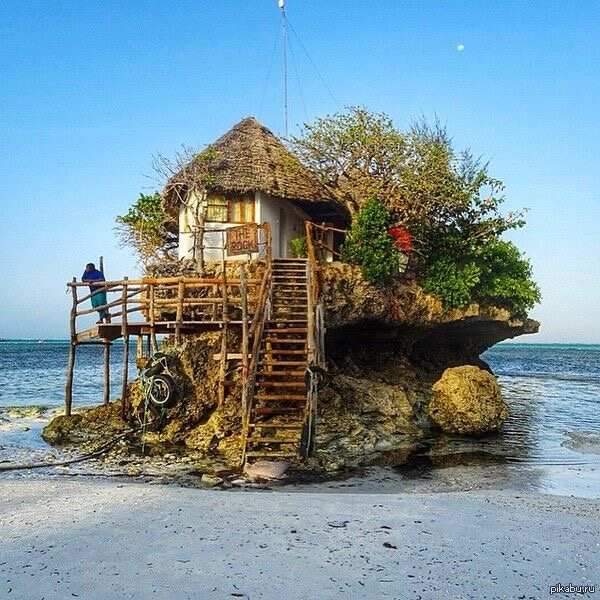 Удивительный Занзибар  и Один День В Танзании, увидеть большую пятёрку (9/89)