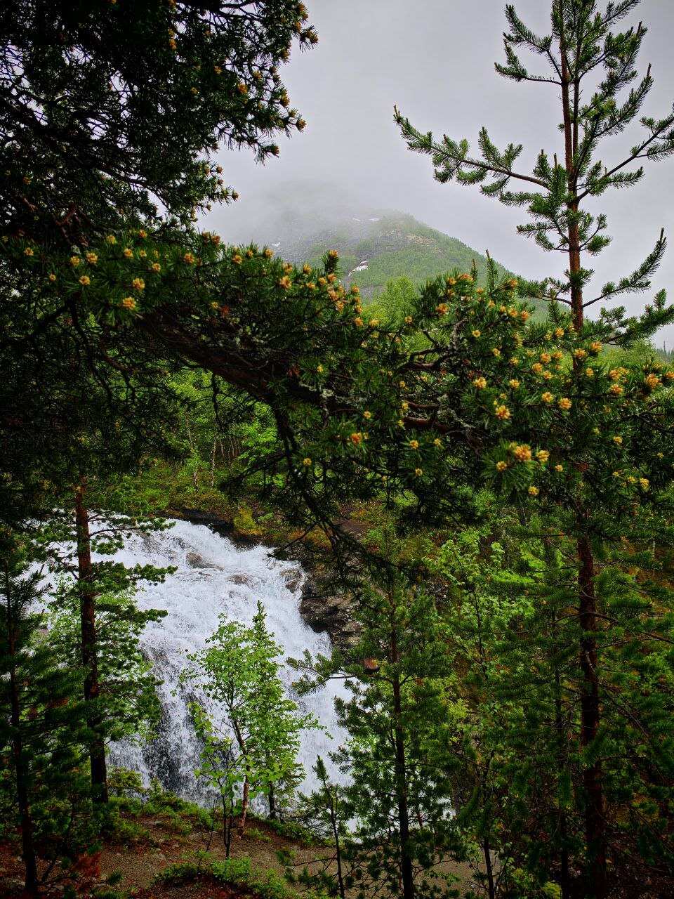 Джип-тур в Хибины (2/19)