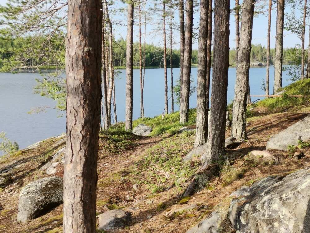 Река Кереть и безграничное Белое море (27/35)