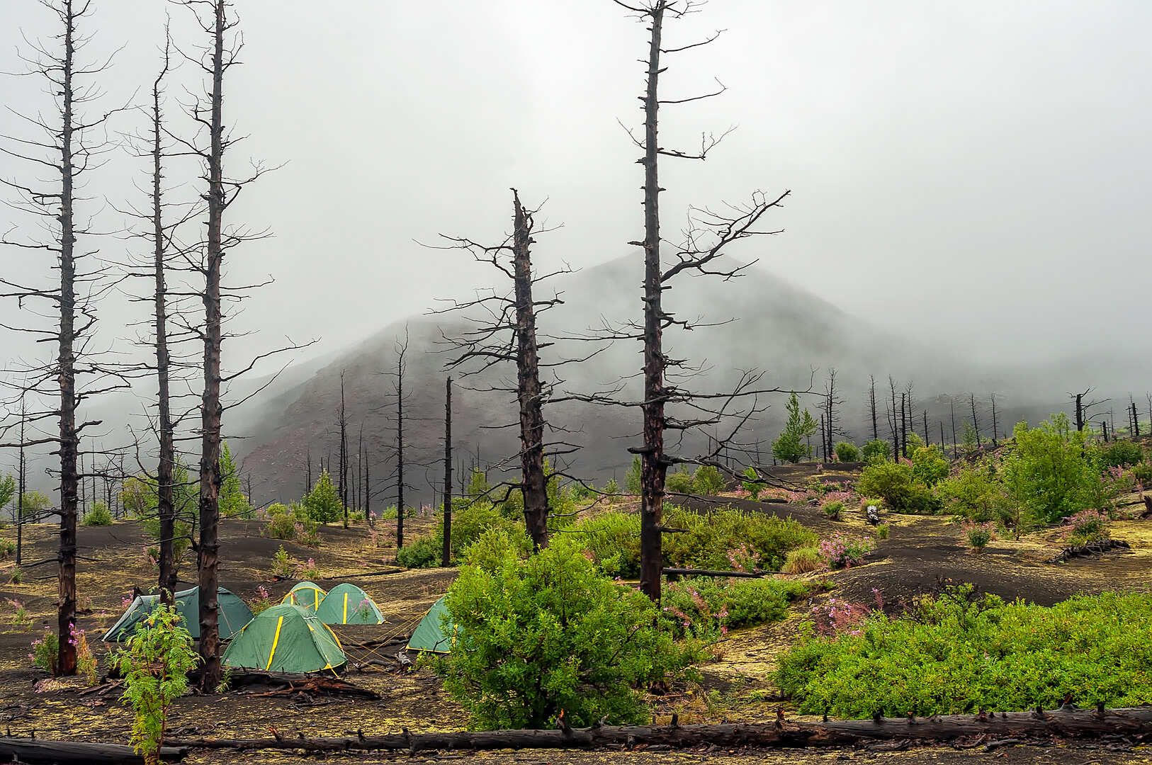 Толбачик. По следам извержения.