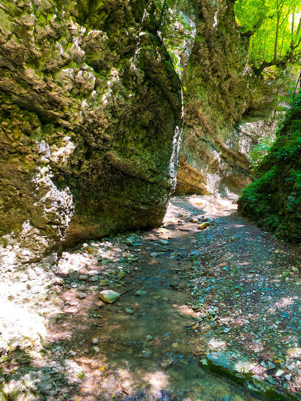 Тур по Чечне с ночевкой на горном озере Казеной-Ам (16/46)