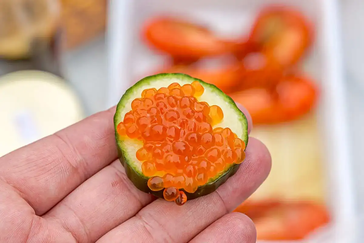 Три вулкана Курильских островов. Путешествие на другую планету (17/138)