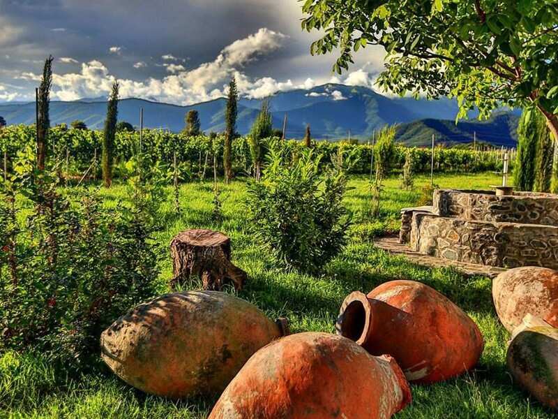 Большой тур по Кахетии : от Сигнахи до Телави  Индивидуальный тур