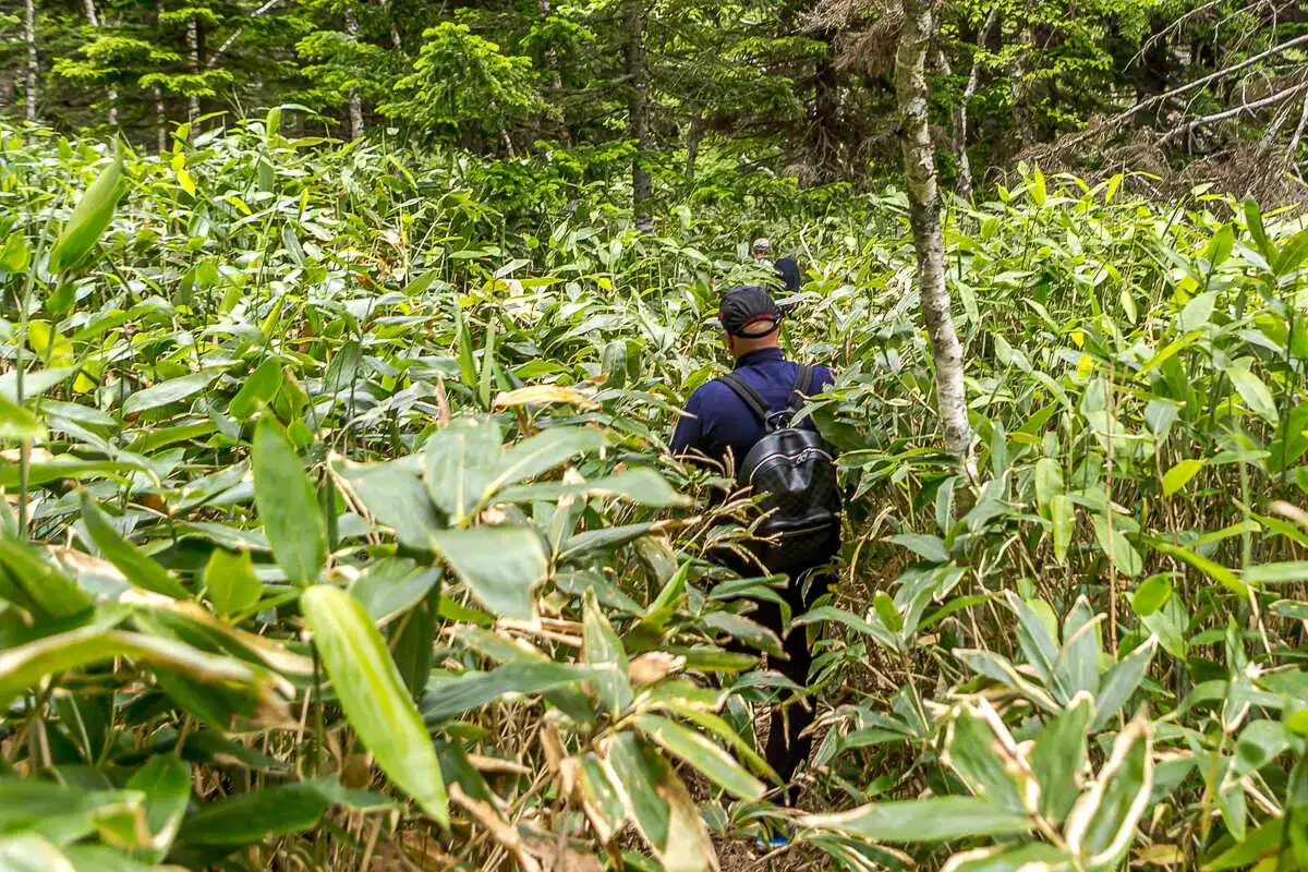 Три вулкана Курильских островов. Путешествие на другую планету (24/138)