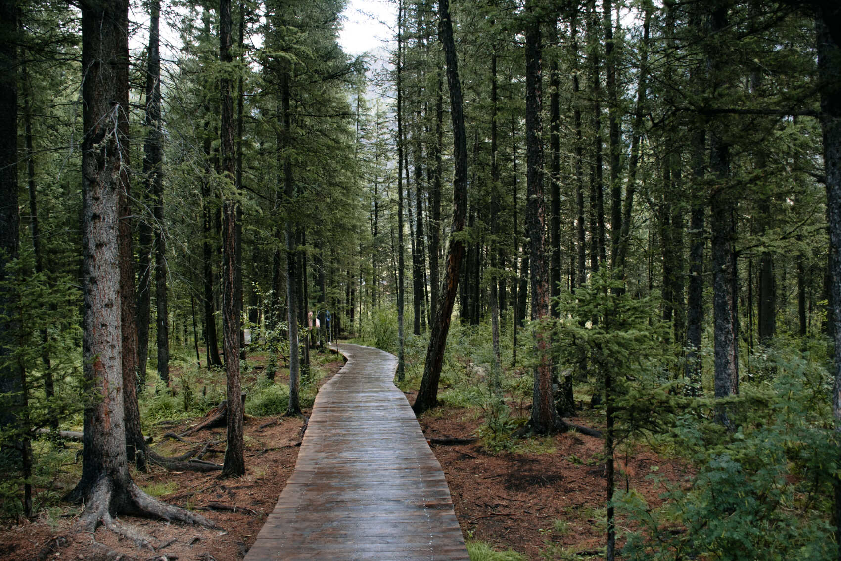 Алтайская кругосветка, группа до 5 чел (22/38)