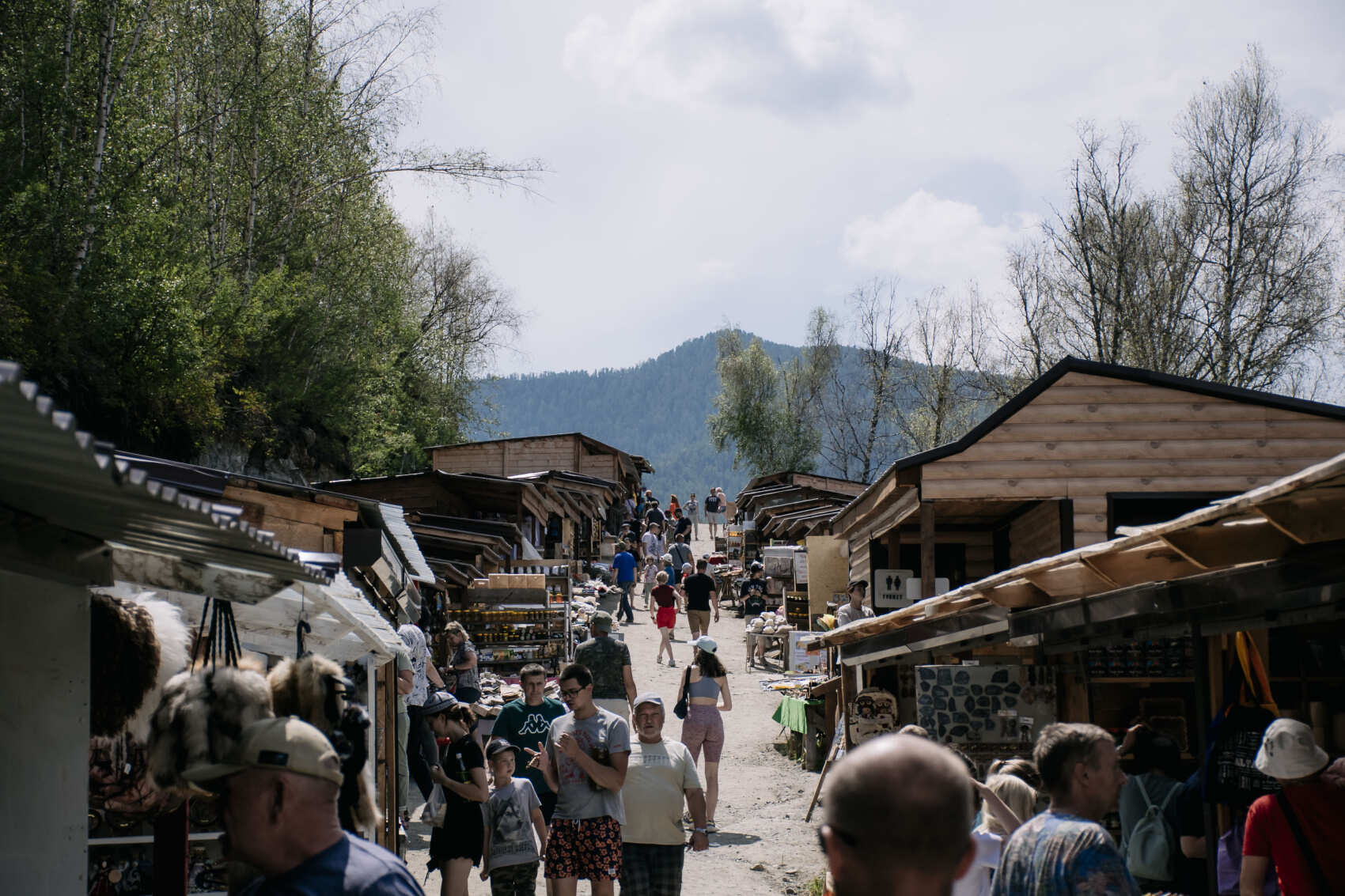  Комфорт-тур по Алтаю: яркое лето 2026 (12/48)