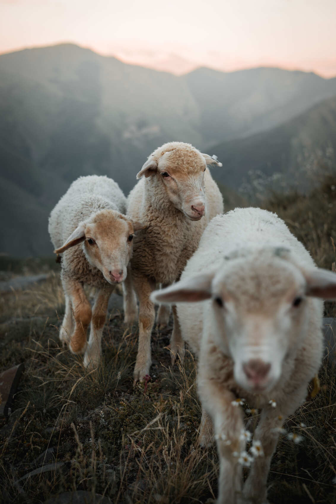 Балхар и традиционное ремесло (6/7)