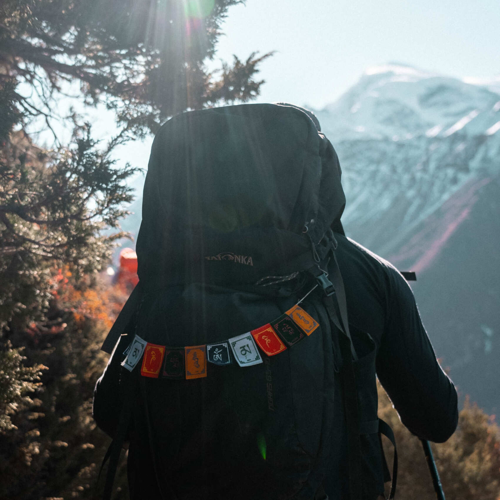 Трек вокруг Манаслу и базовый лагерь Манаслу. Непал (7/28)