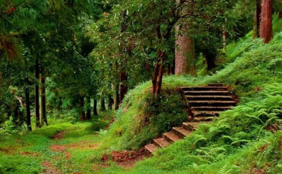 Insta-tour - ботанический рай и крепость Петра (4/8)