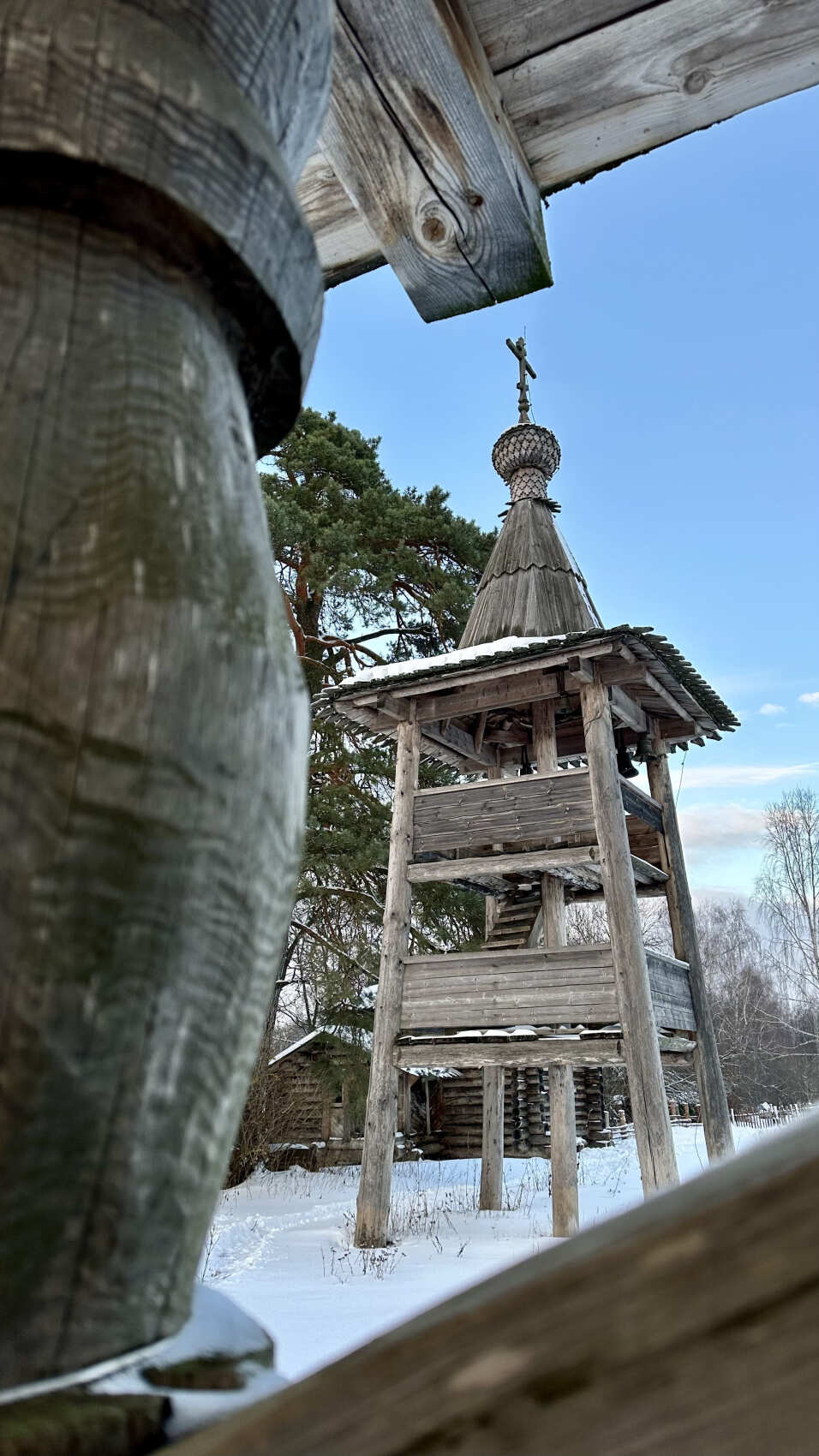 Поход на снегоступах Русский север в Подмосковье (11/11)