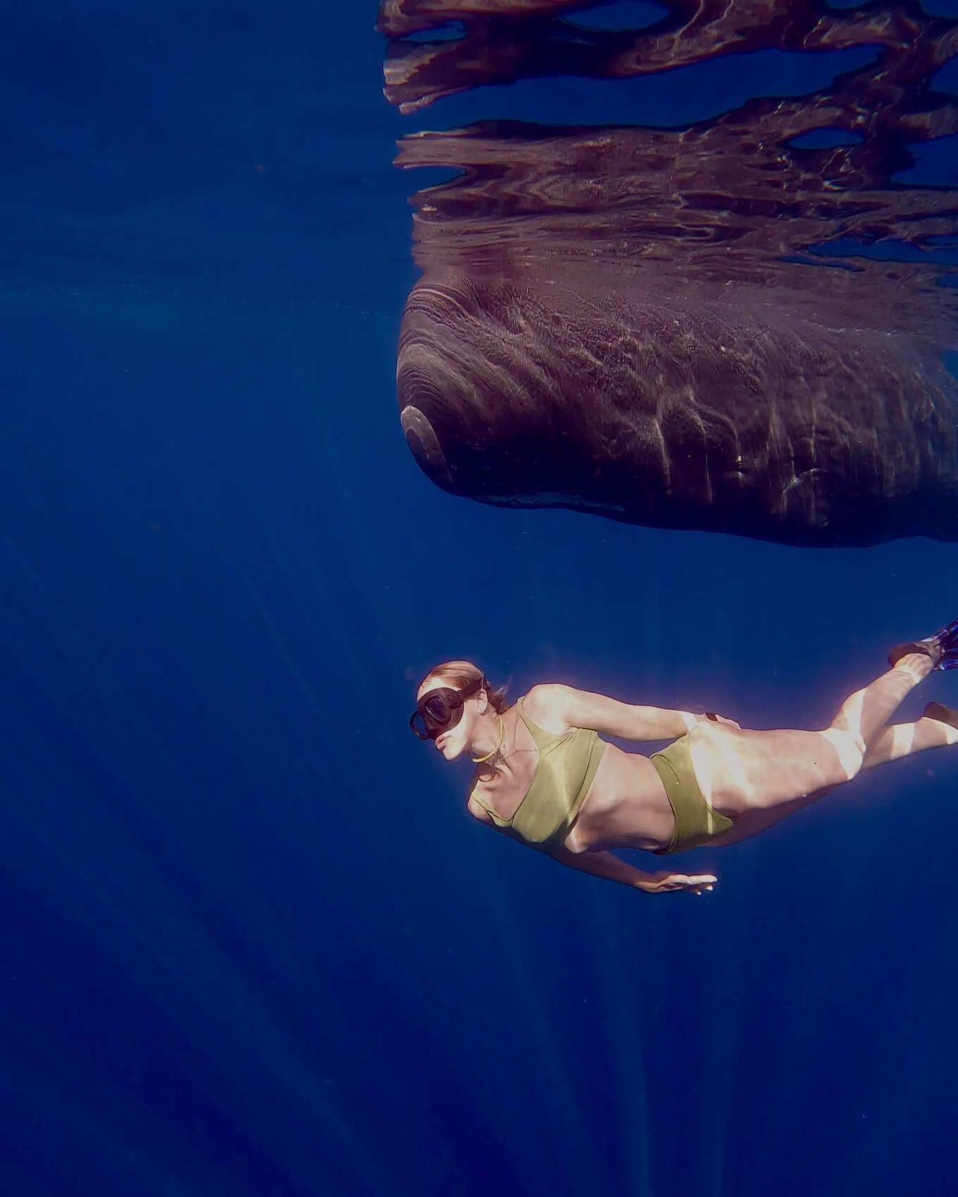 Сокровище Маврикия-Горбатые Киты И Кашалоты (27/52)