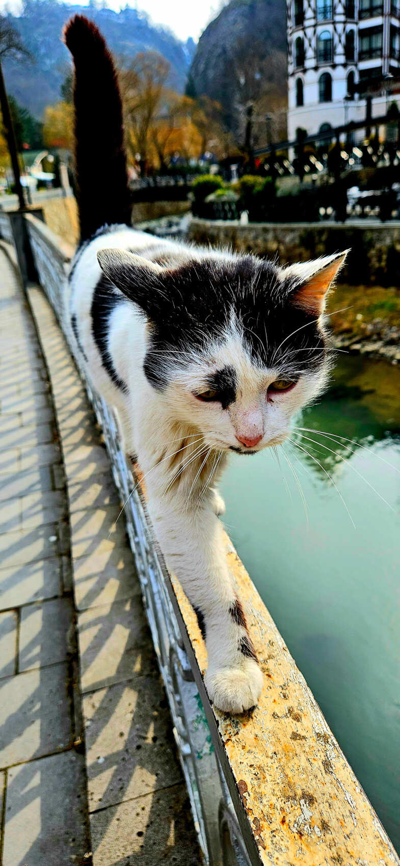 Горы, вино, великая история и люди! Яркая Грузия! (55/108)