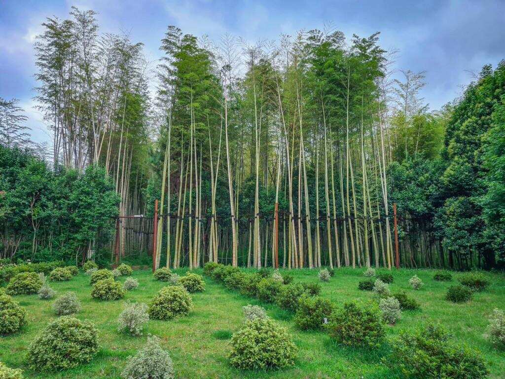 Сказка Батуми: 4 парка за один день (2/9)