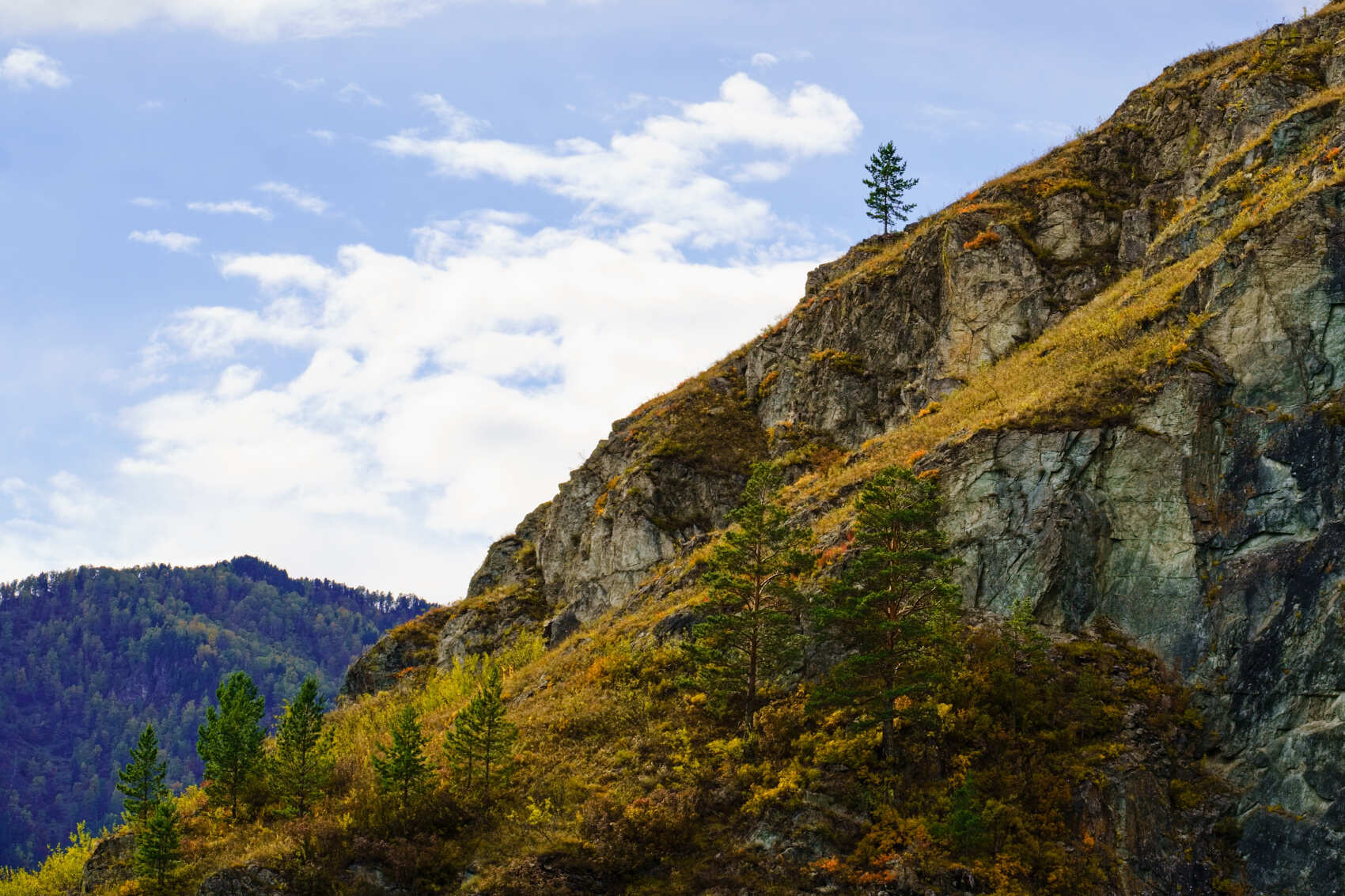 Осенний премиум-тур на Алтай: отели 4-5 + экскурсии по горному Алтаю (индивидуально) (19/36)
