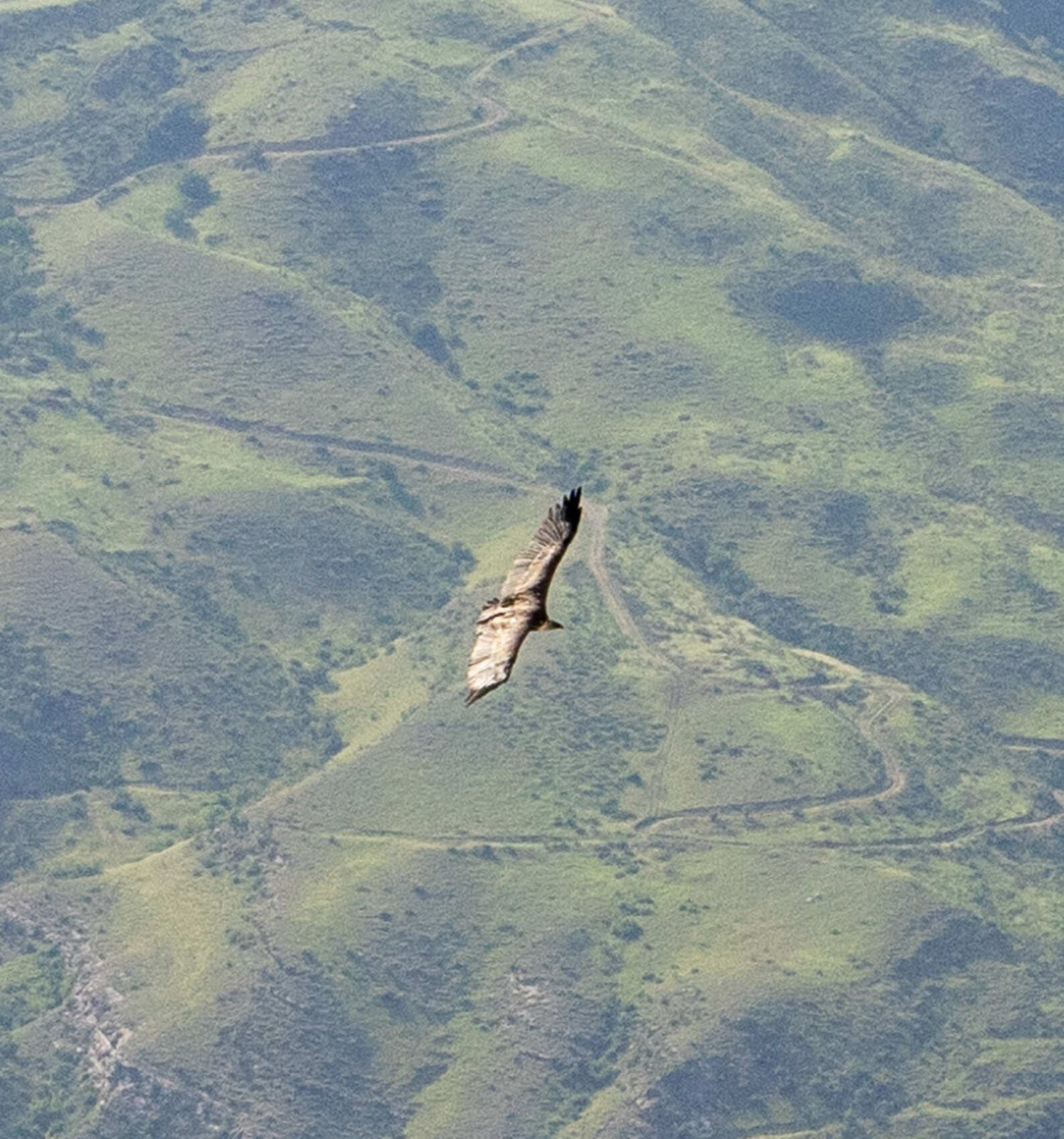 Северная Осетия и Кабардино-Балкария (44/91)