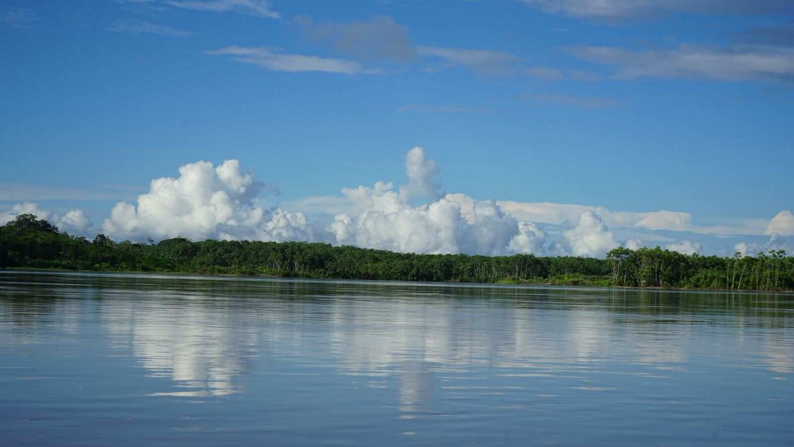 Amazon Adventure in Yasuní – 7 Days