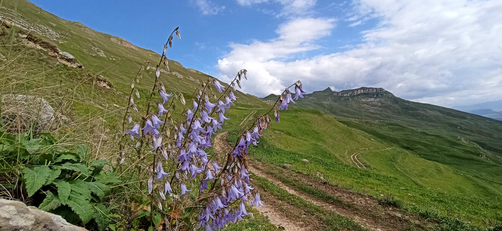 Семейный тур в Дагестан на пять дней (все включено) (5/27)