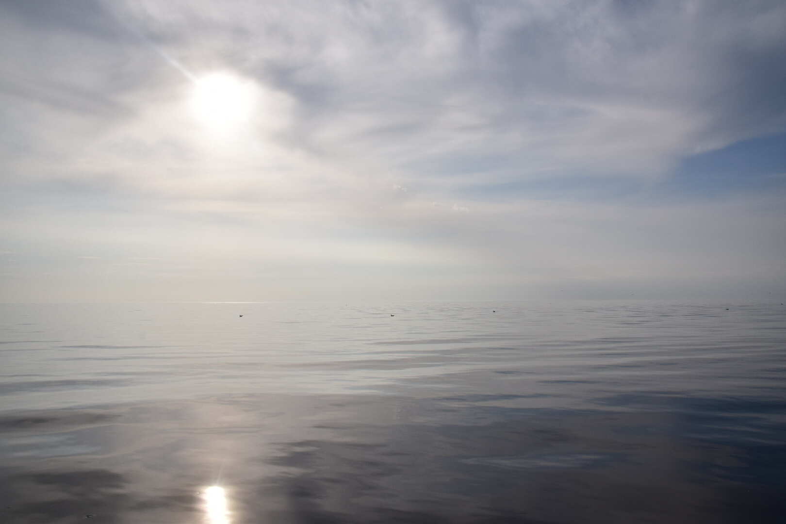 Манящий Сахалин (4/31)