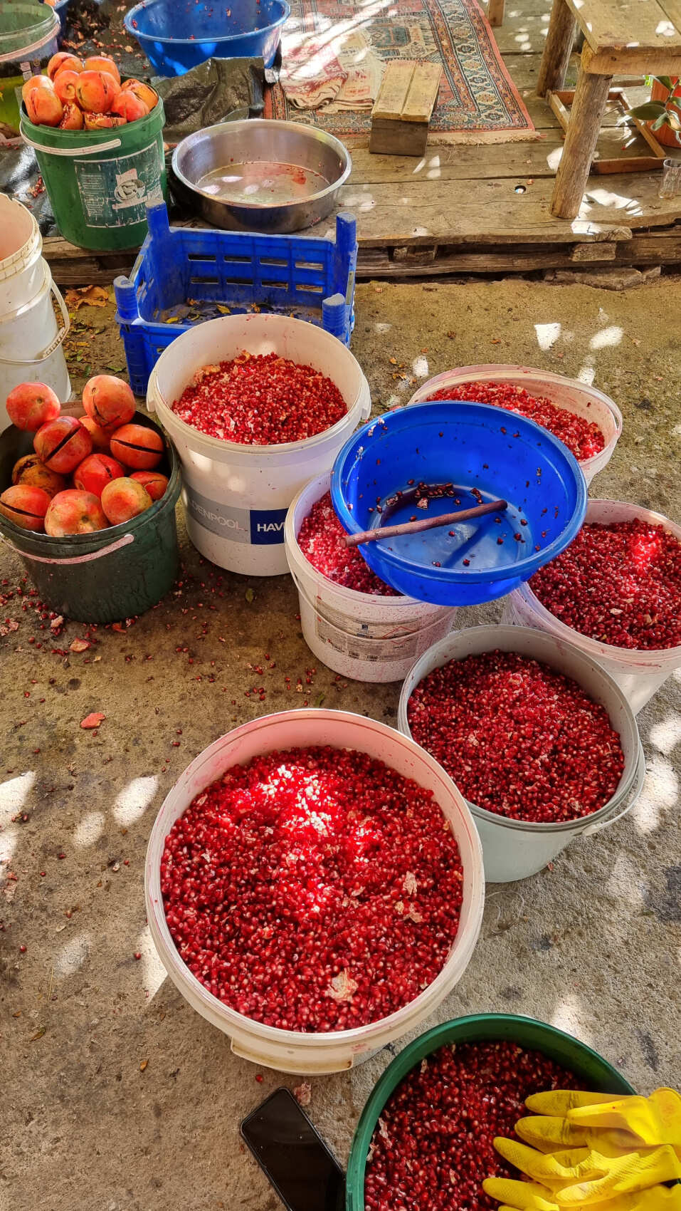 Треккинг по Ликийской тропе. Западная часть (10 дней) (7/43)