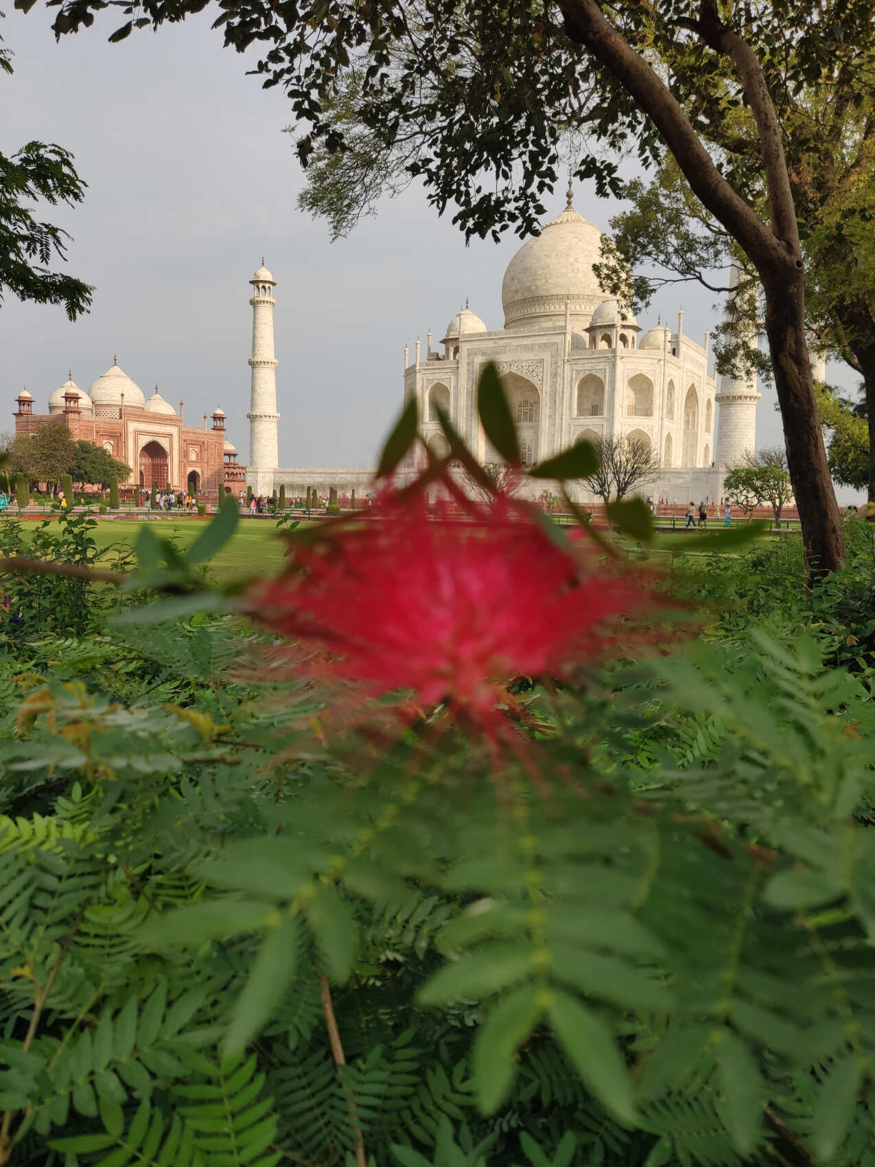 Поездка в Тадж Махал из аэропорта Дели на машине - Завтрак в Агре (5/6)