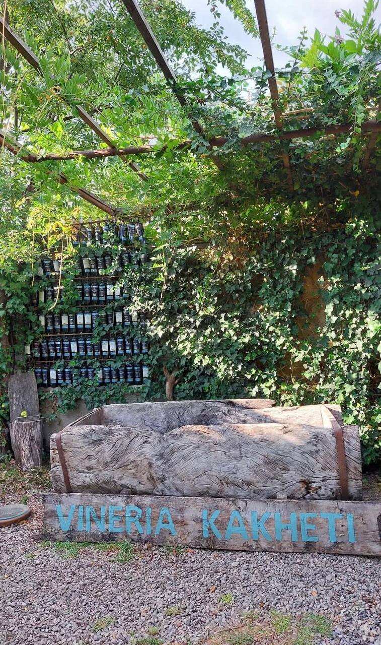 Вах!Тот самый тур по-грузински:Тбилиси+Боржоми+Кахетия+Казбеги.Встреча во Владикавк. (61/91)