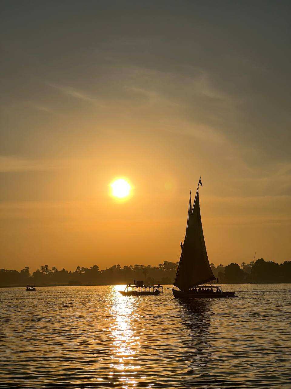 Оазис Эльфаюм - настоящий рай  (4/7)