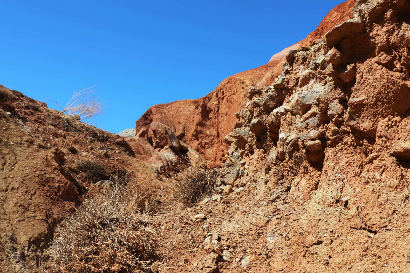  Майские-2026: Чемал, Телецкое, Чуйский тракт и Кату-Ярык (группа до 6 чел.) (22/46)