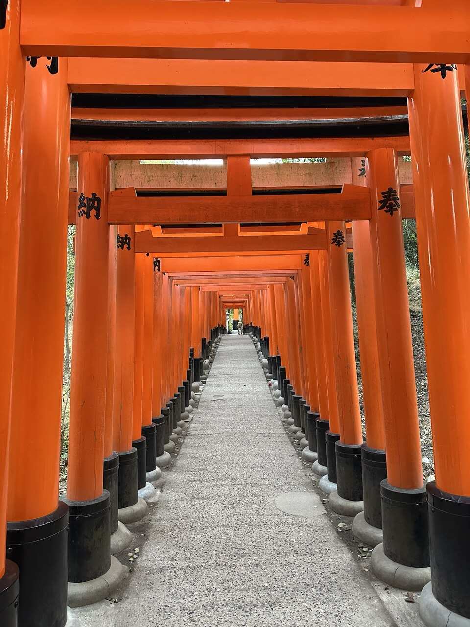 Япония: фестиваль фейерверков и пляжи Окинавы (5/37)