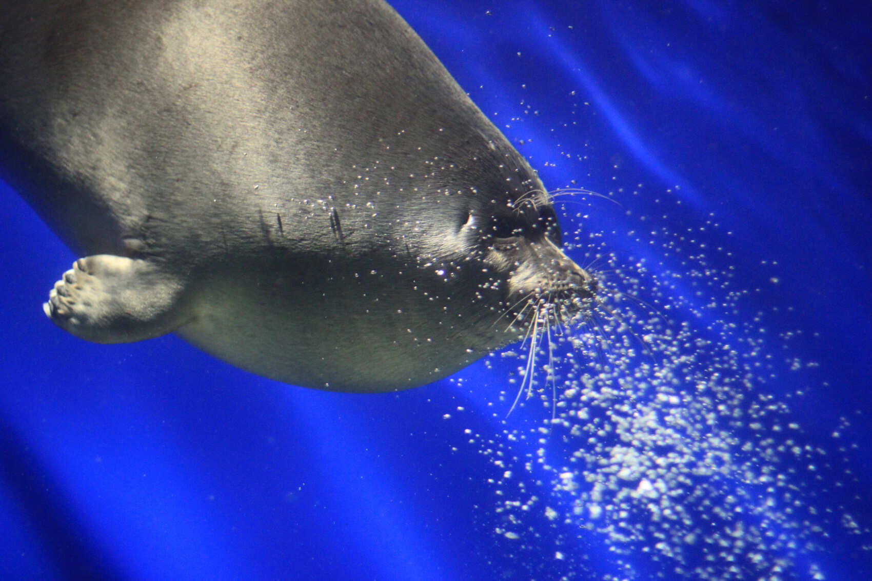 Легенды суперхитов Байкала (комфорт): Аршан, Листвянка, Кбжд и Иркутск (26/86)