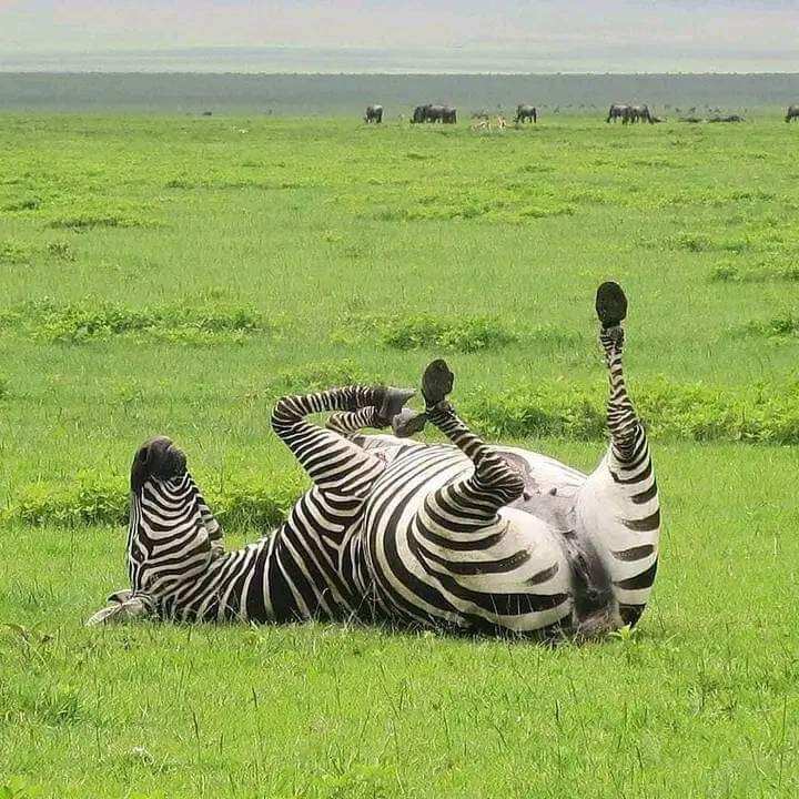 Занзибар: Приключения в Раю (6/55)