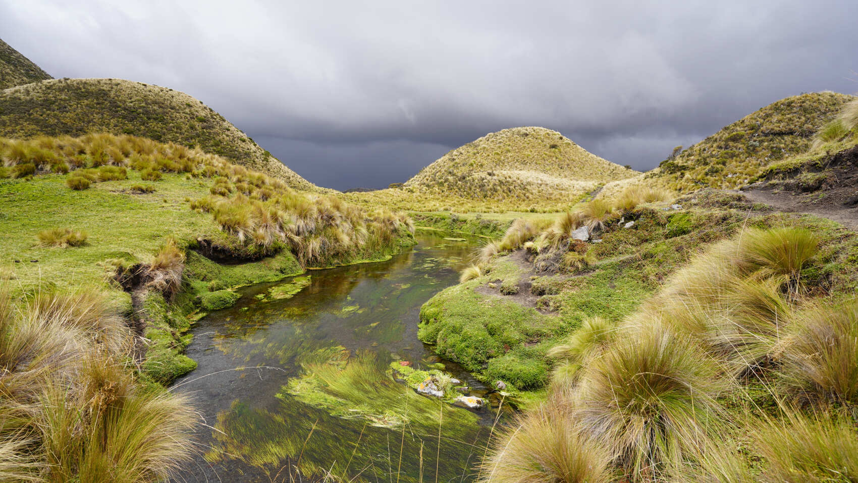 8-дневные походы по горной местности и джунглям (4/22)
