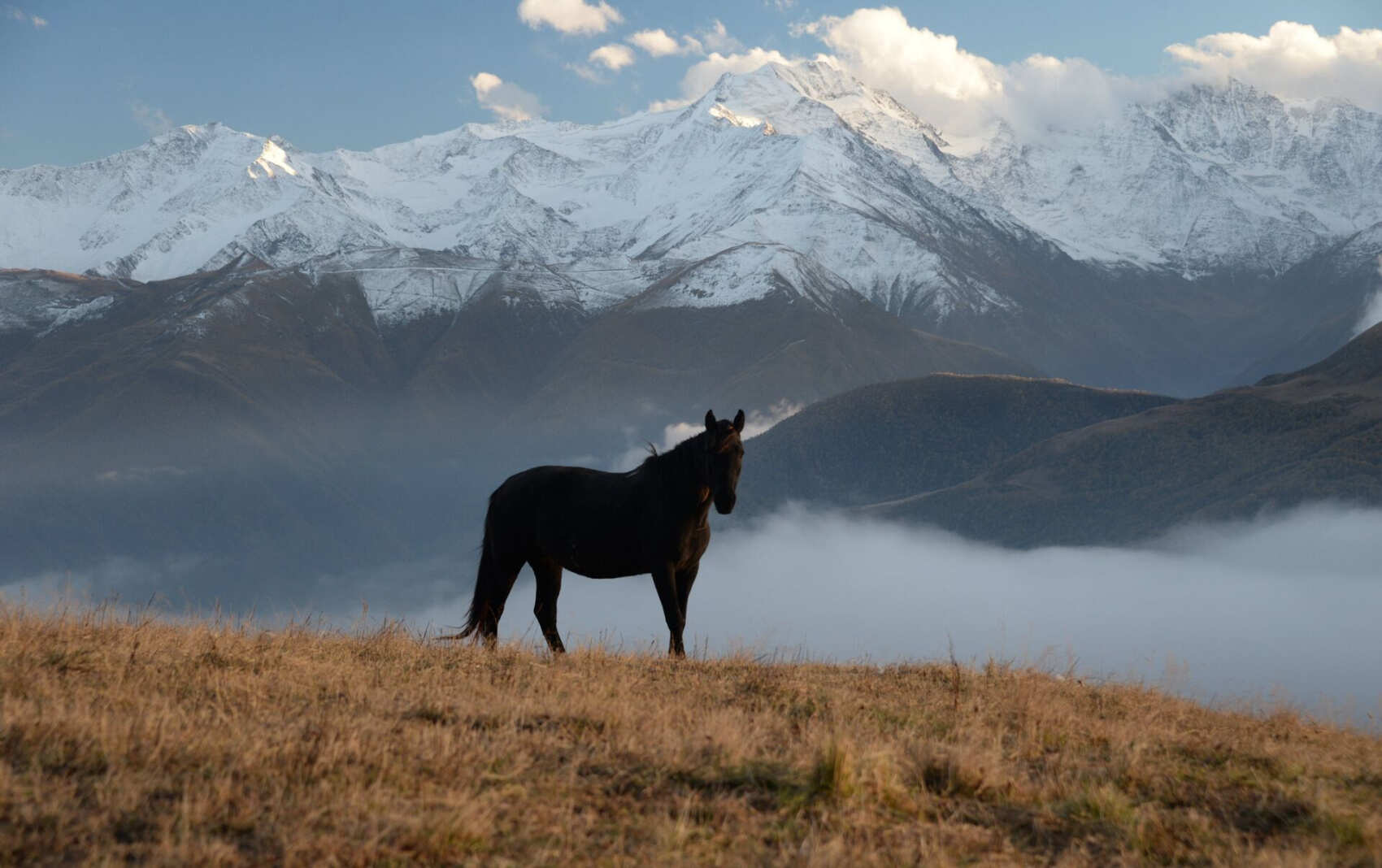 Джип-Тур Фантастическая и таинственная Северная Осетия