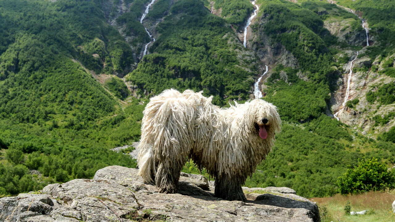 ВСЯ ОСЕТИЯ • АЛАНСКИЙ ЭКСПРЕСС - индивидуальный тур (17/39)