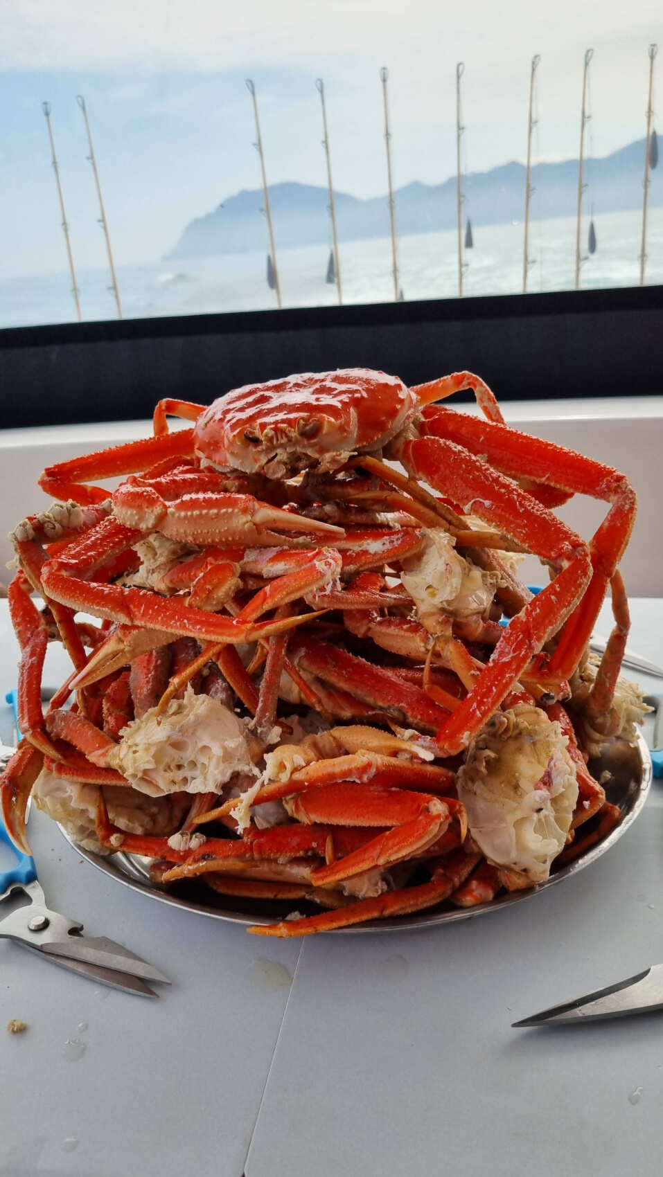 Хит Камчатки: более 20 локаций за 8 дней. Всё включено. (22/110)