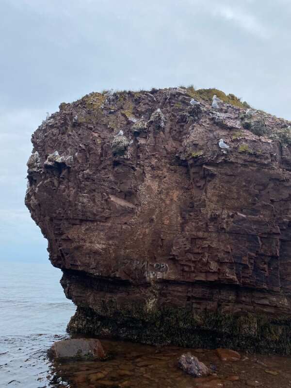 Путешествие по Терскому берегу Белого моря (8/29)