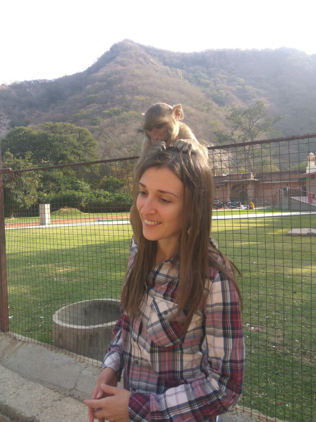 Из Дели: Тур «Тигры, Таж-Махал и дворцы» (5/18)