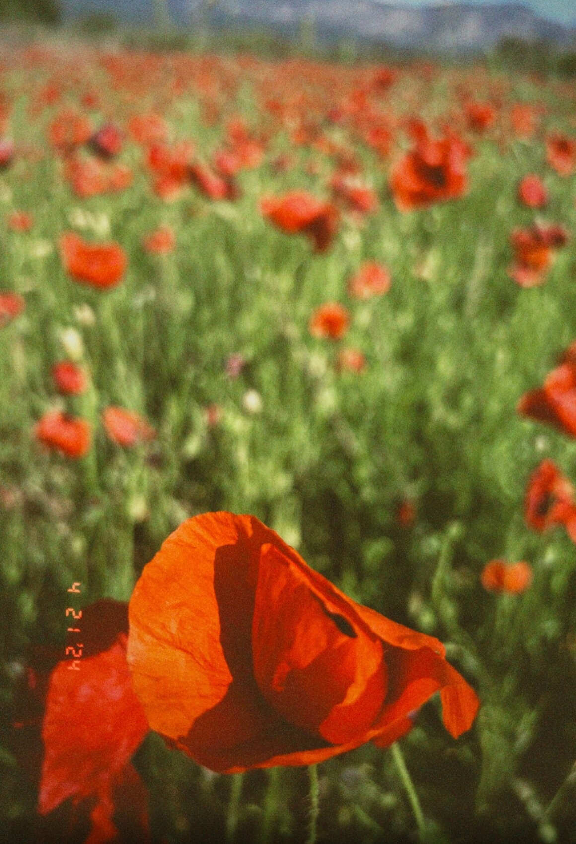 Другая Турция: автотур по побережью, бархатный сезон (19/45)