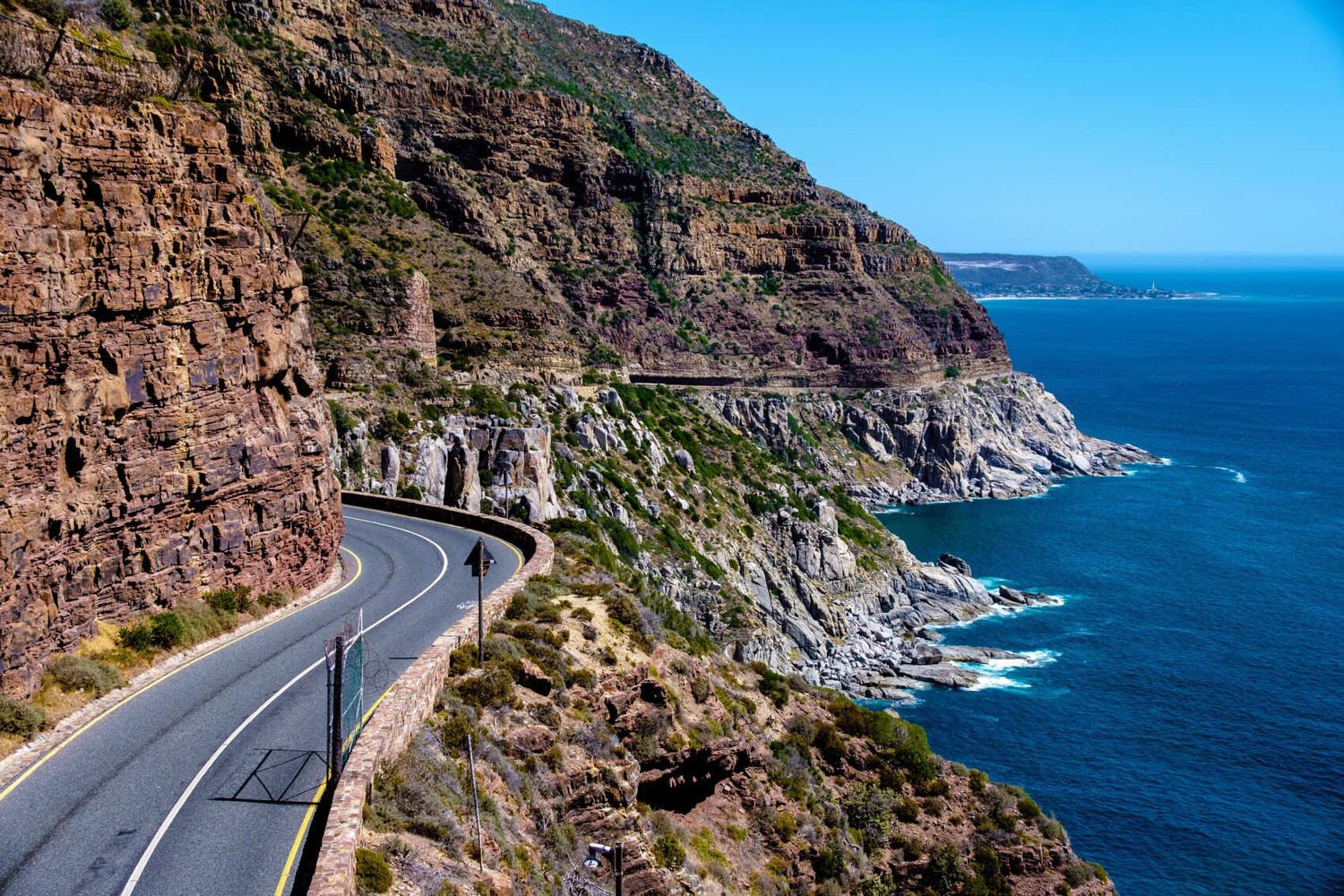 Юар: пингвины и киты (30/51)