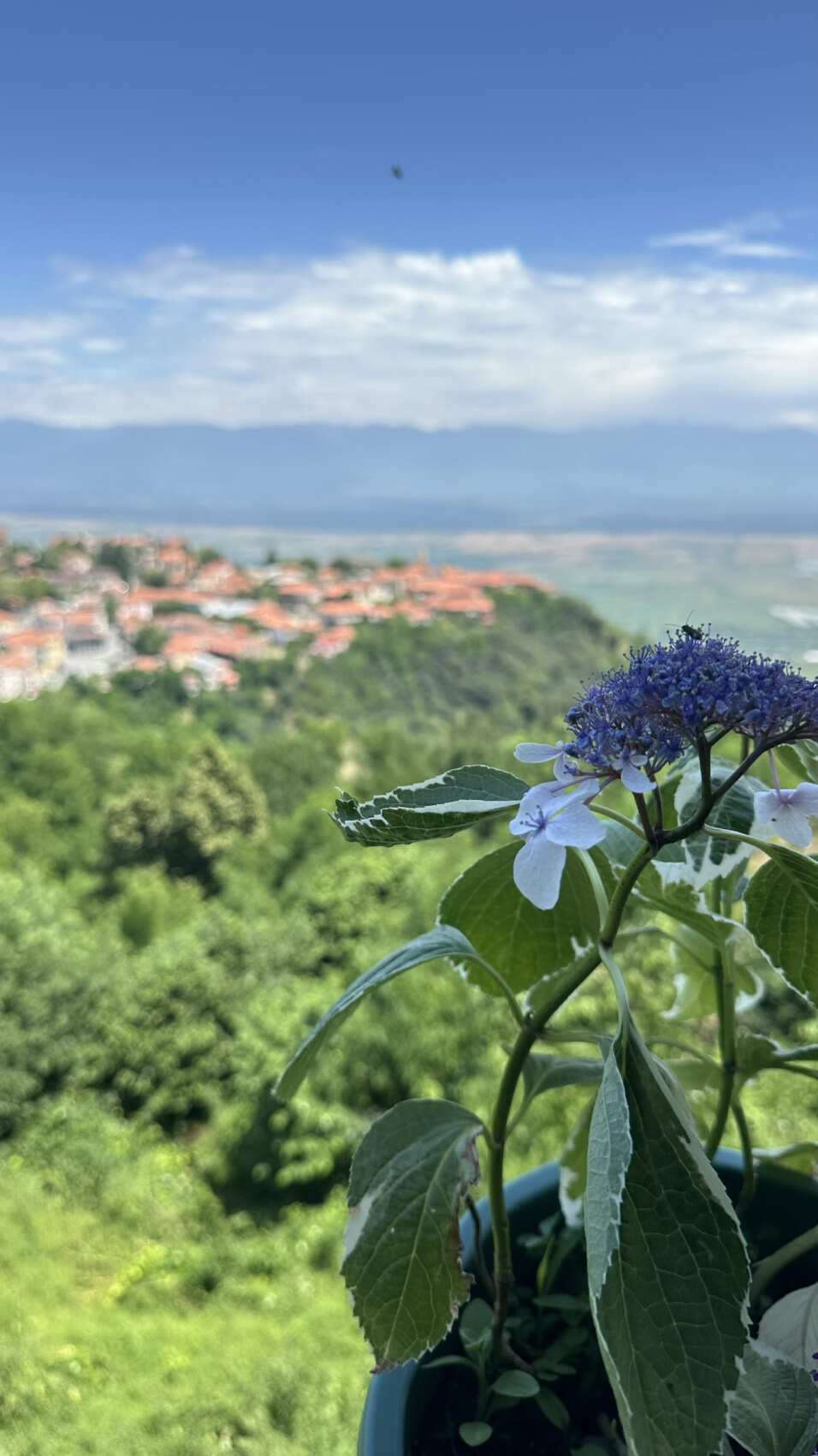 Азербайджан и Грузия за 8 дней. Две страны - два мира (76/131)