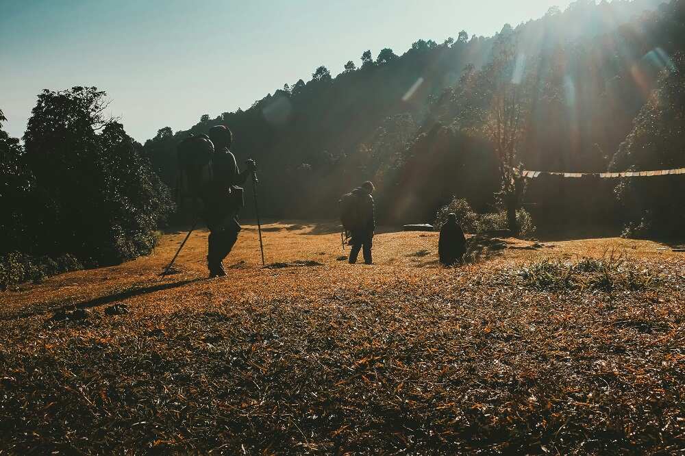 Дхампус: однодневный поход (5/7)