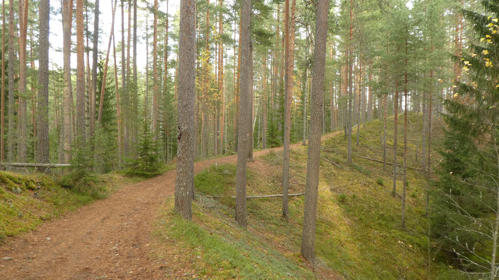 По тропам Ленинградской области. Петяярви. (4/9)
