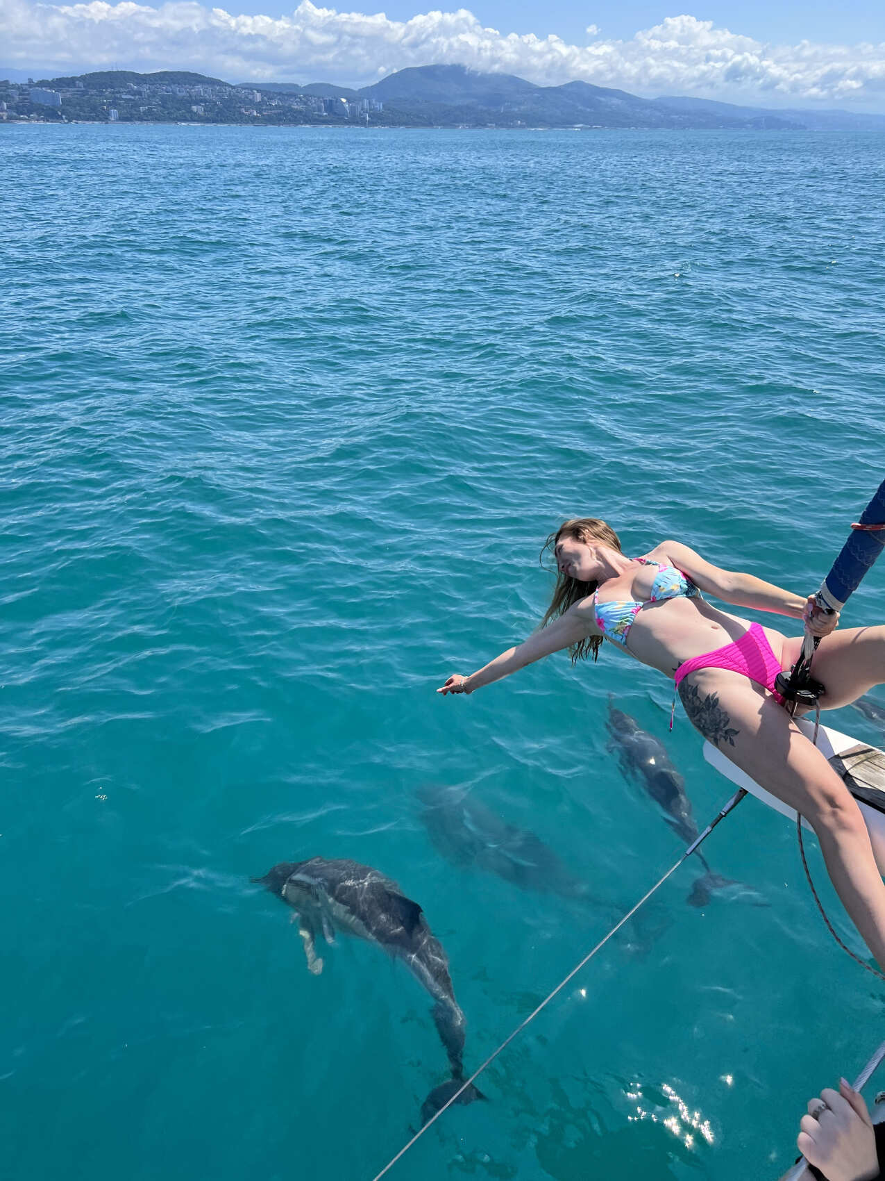 Морской тур с дельфинами