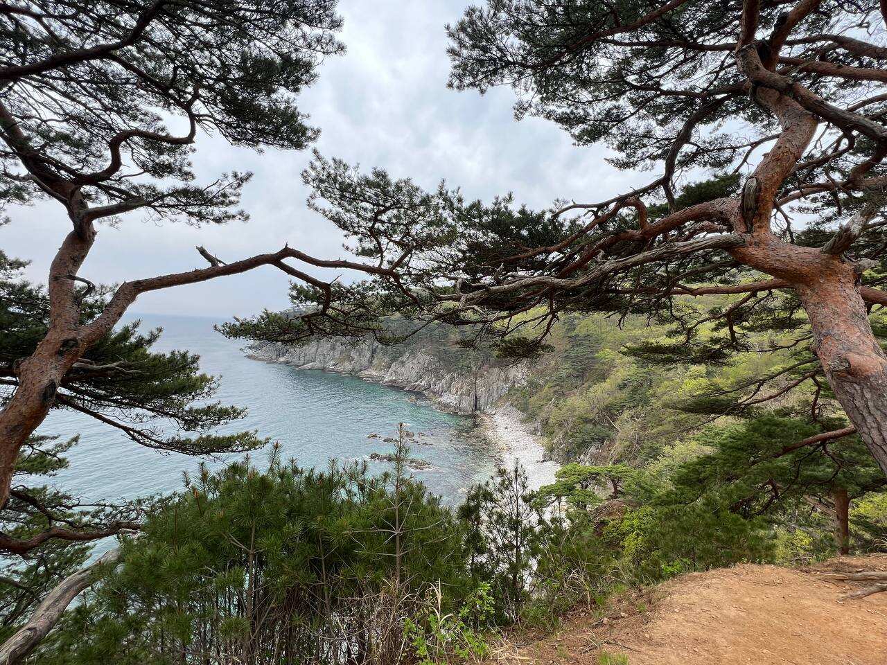 Гастротур во Владивосток. Комфорт + с питанием (5/21)