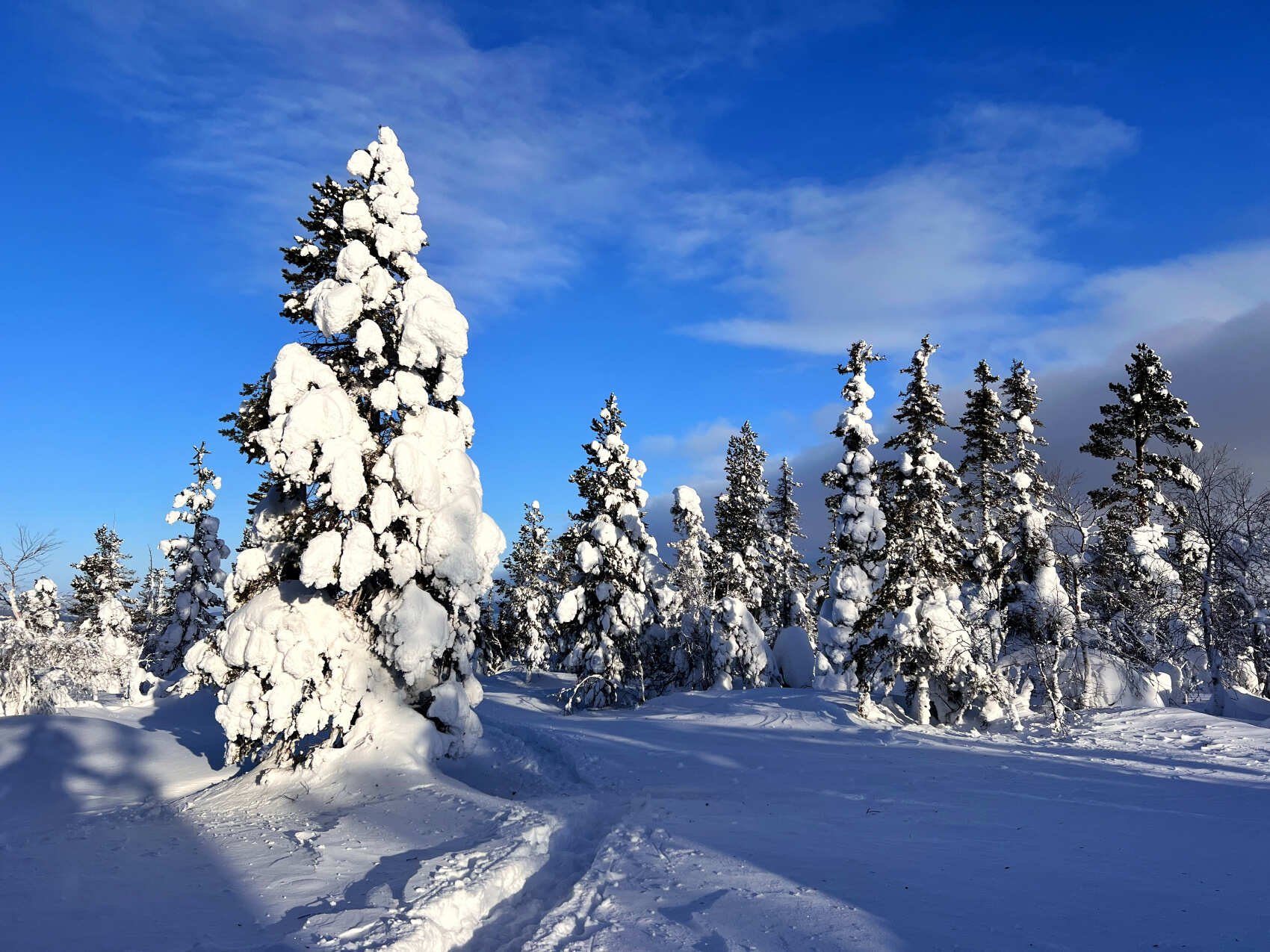 Поход в горы Хибины на снегоступах (16/16)