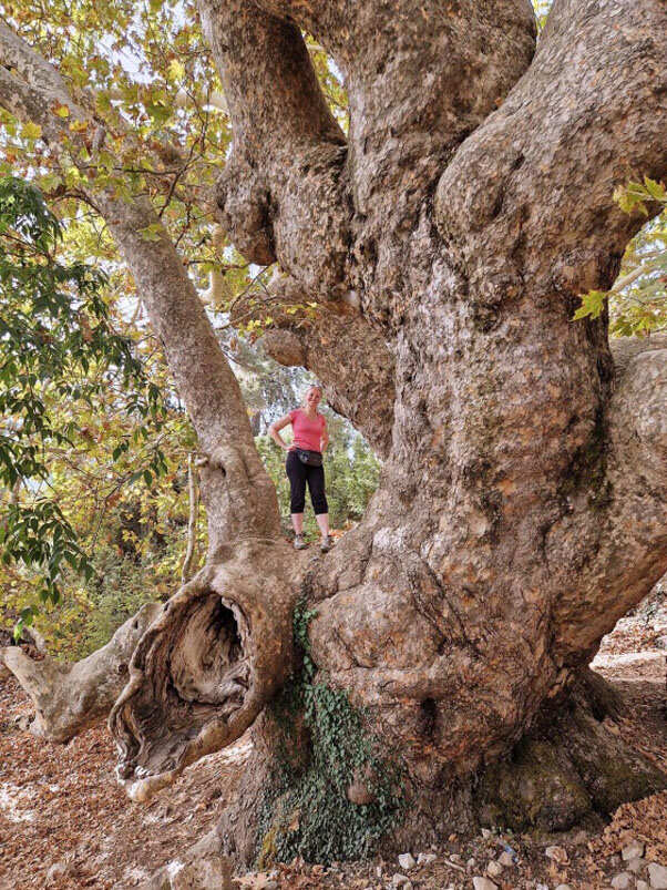 Восточная Ликийская тропа без рюкзаков и палаток (12/51)