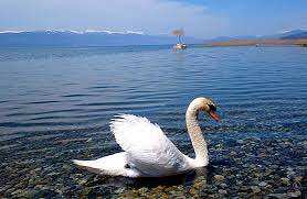 Очарование Северной Македонии (12/37)