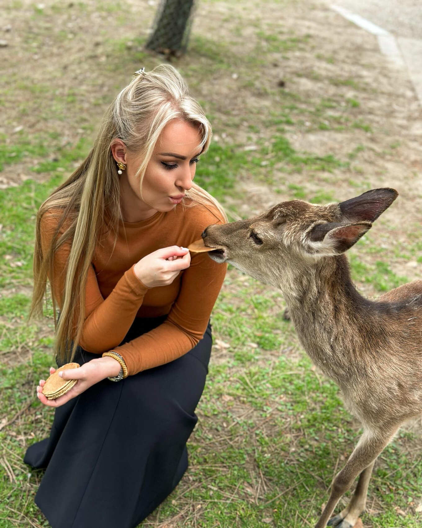 Япония  — путешествие по стране восходящего солнца (18/75)