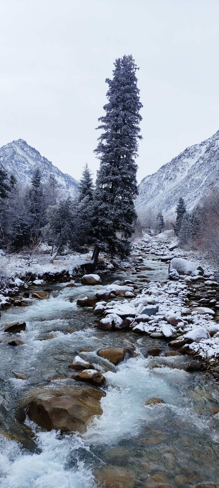 Из Бишкека в горы Тянь-Шаня! (10/16)