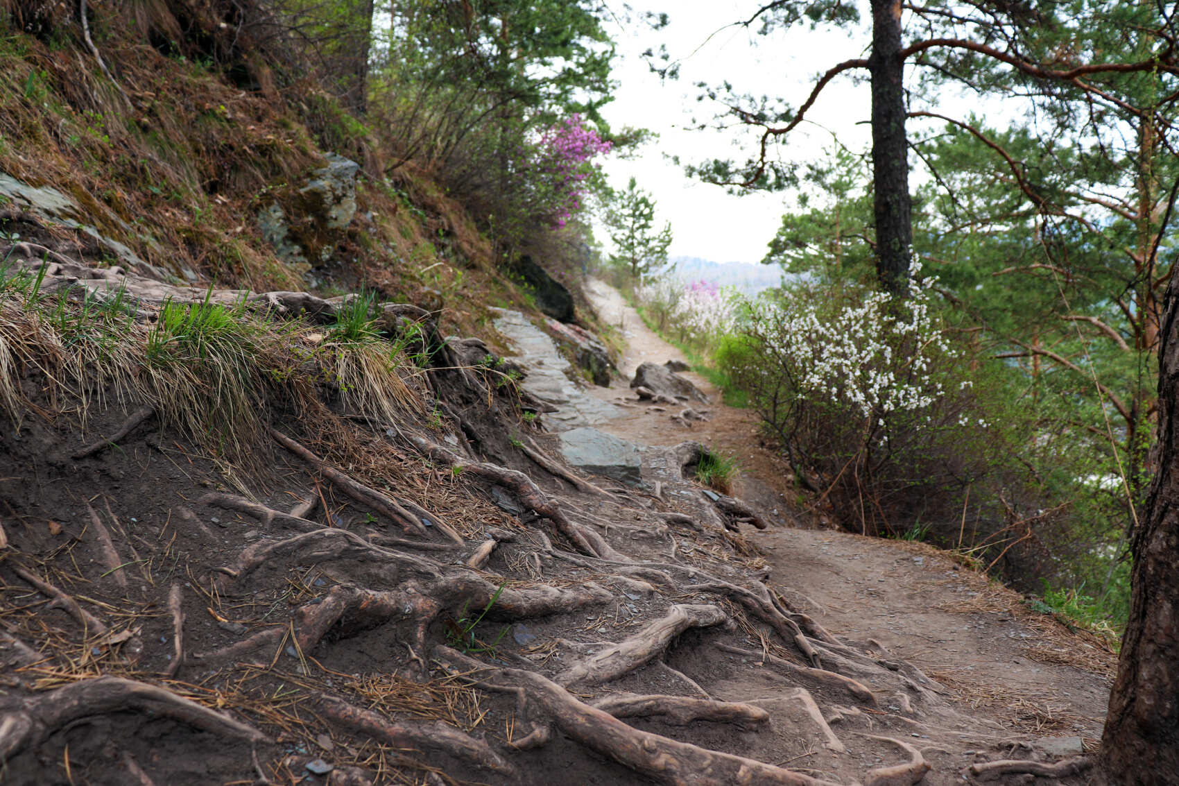  Майские-2026: Чемал, Телецкое, Чуйский тракт и Кату-Ярык (группа до 6 чел.) (12/46)